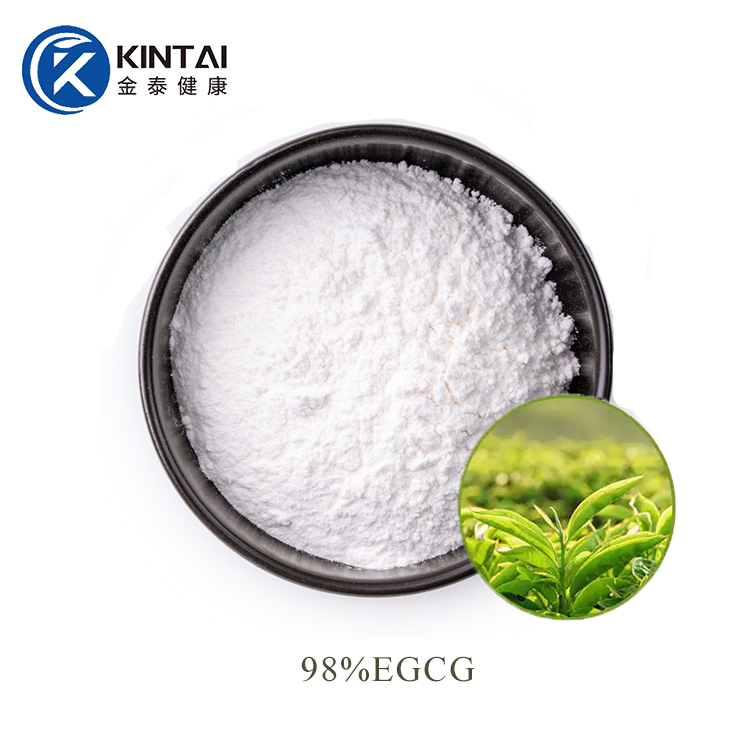 Green Tea Extract Powder suppliers