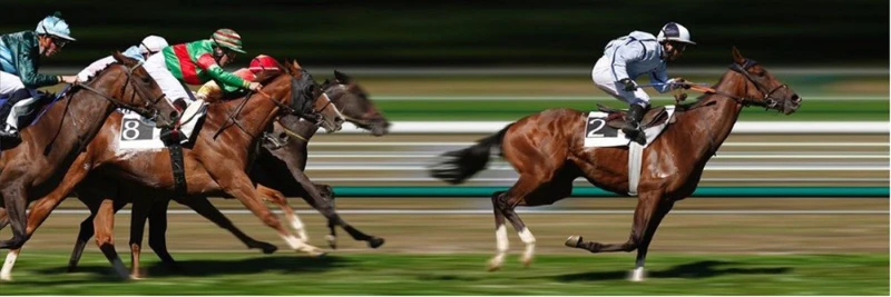 Chondroitin Sulfate and Horses Chondroitin Sulfate and Horses