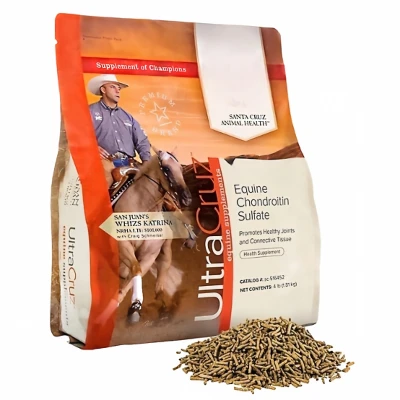 chondroitin sulfate in horses supplement chondroitin sulfate in horses supplement