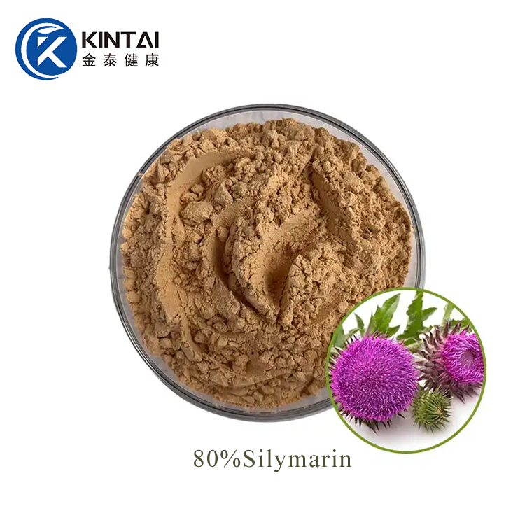 Milk Thistle Extract Powder suppliers Milk Thistle Extract Powder suppliers