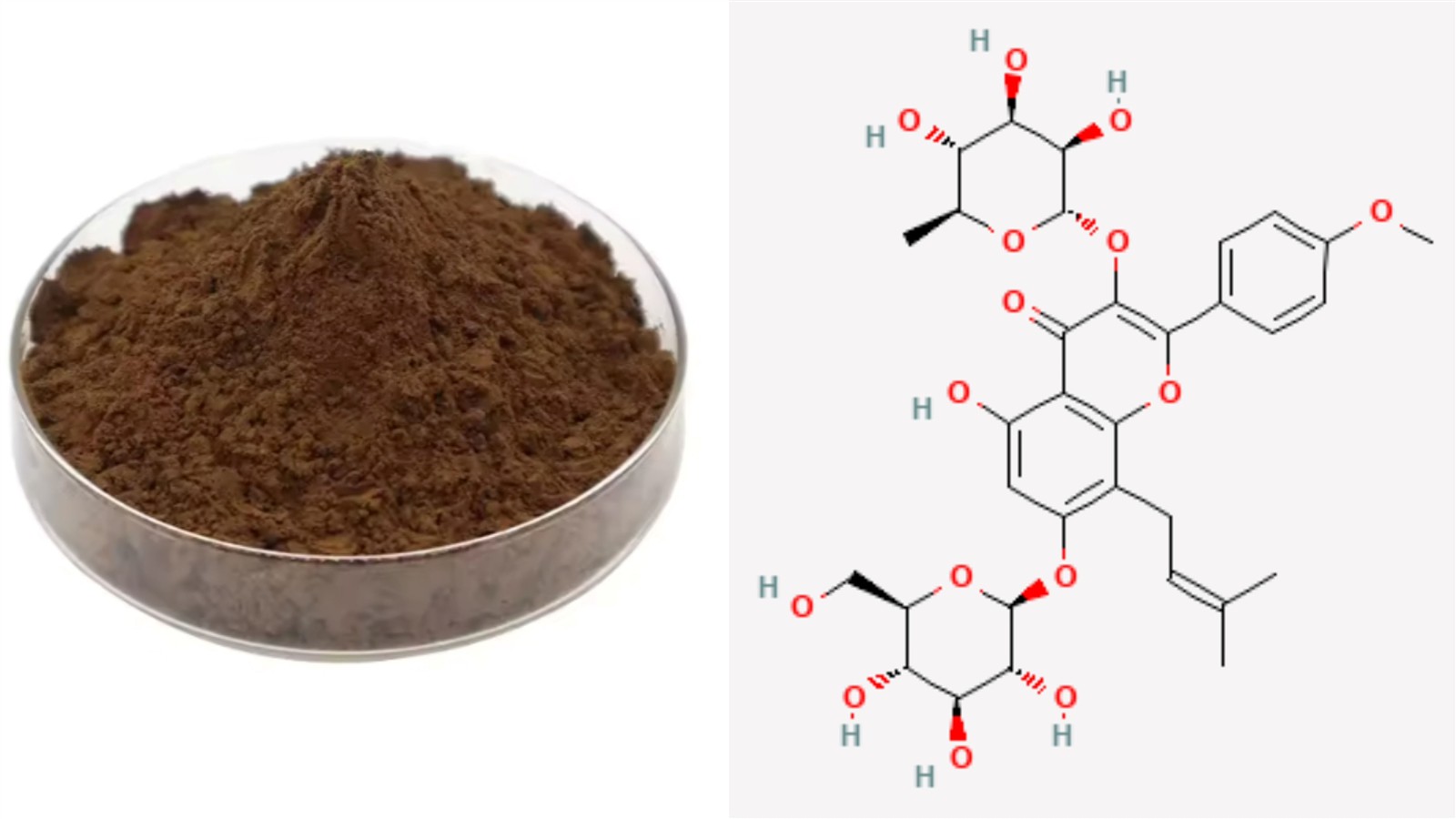 Kintai's Horny Goat Weed Extract Icariin Powder Kintai's Horny Goat Weed Extract Icariin Powder