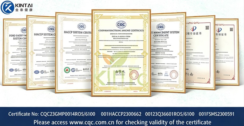 Healthkintai's certifications Healthkintai's certifications