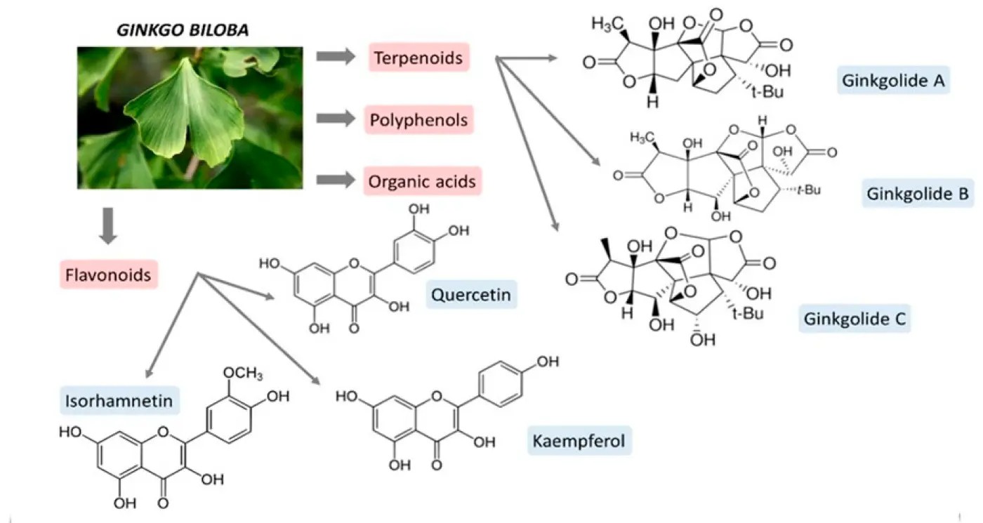 20260306143316018 20260306143316018