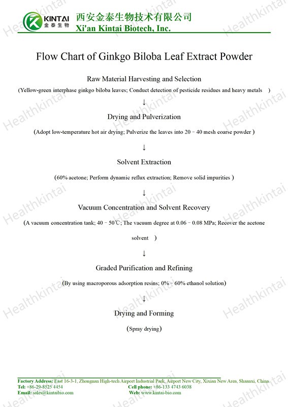 How to Make Ginkgo Biloba Leaf Extract? How to Make Ginkgo Biloba Leaf Extract?