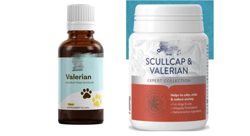 Valerian Root Extract Valeric Acid Applications Valerian Root Extract Valeric Acid Applications