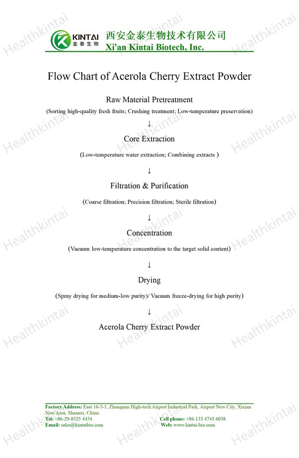 20260327104113046001 20260327104113046001