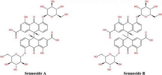 Senna Leaf Extract Powder Manufacturer/Supplier Senna Leaf Extract Powder Manufacturer/Supplier
