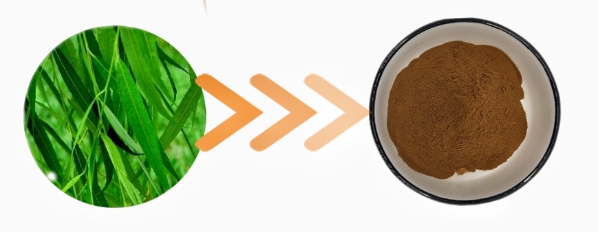 White Willow Bark Extract White Willow Bark Extract