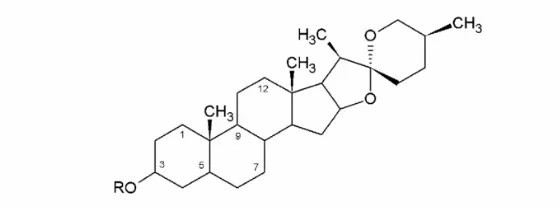 Healthkintai Healthkintai