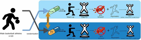 Tribulus Terrestris Saponins's Benefits Tribulus Terrestris Saponins's Benefits