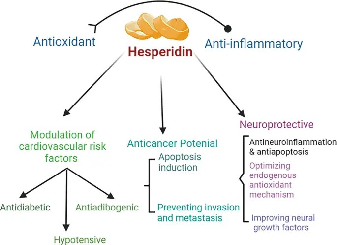 Antioxidant And Anti-Inflammatory Antioxidant And Anti-Inflammatory