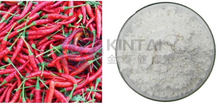 Capsaicin Powder Manufacturers Capsaicin Powder Manufacturers