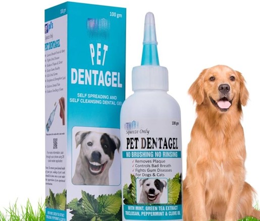 Green Tea Extract For Dogs And Cats Green Tea Extract For Dogs And Cats