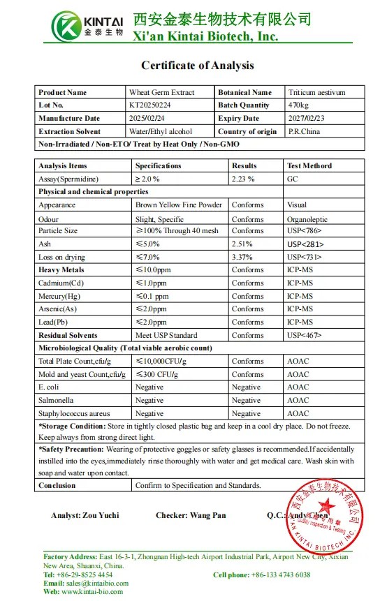 Wheat Germ Extract Powder Wheat Germ Extract Powder