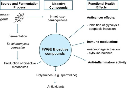 20260331104530166 单图上传 小部件 20260331104530166 单图上传 小部件