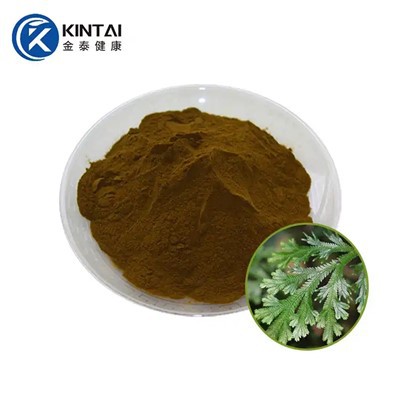 Аментофлавонски прах