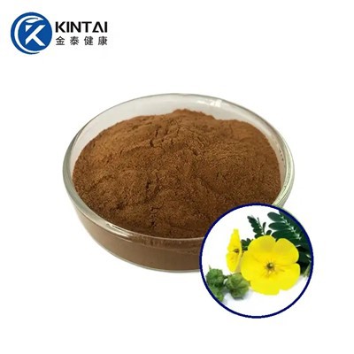 Трибулус Террестрис сапонини у праху