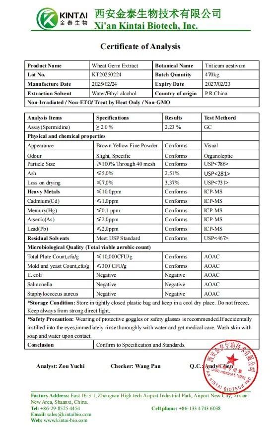 Wheat Germ Extract Powder factory
